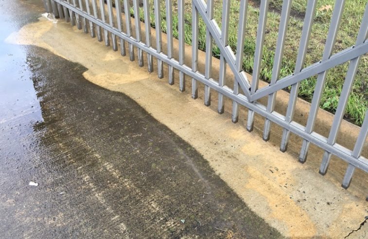 Walkway Pressure Washing Before & After